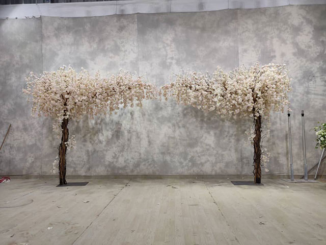 Blossom Trees